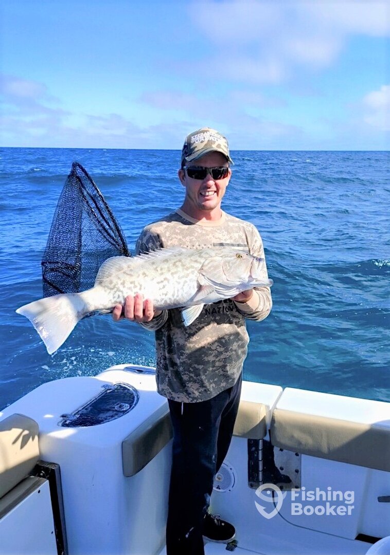 Fort Myers Report Photo 0