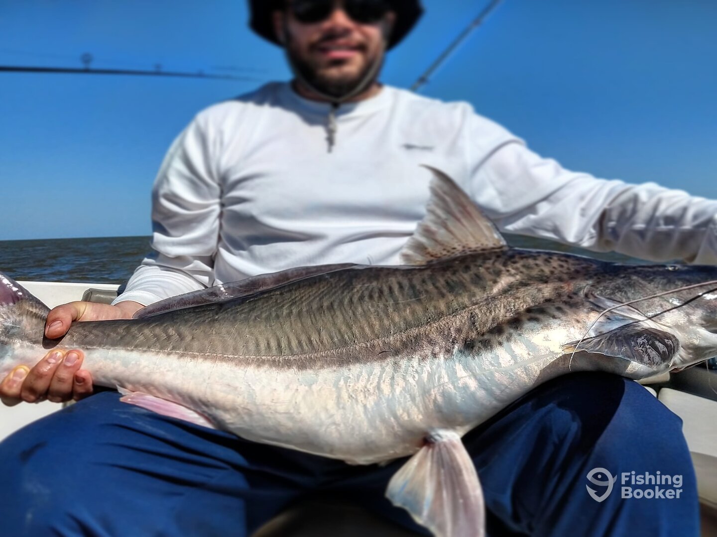 Tigre Report Photo 0