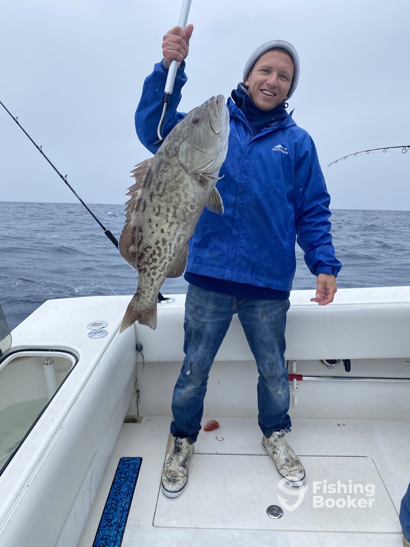 Mount Pleasant Report Photo 0