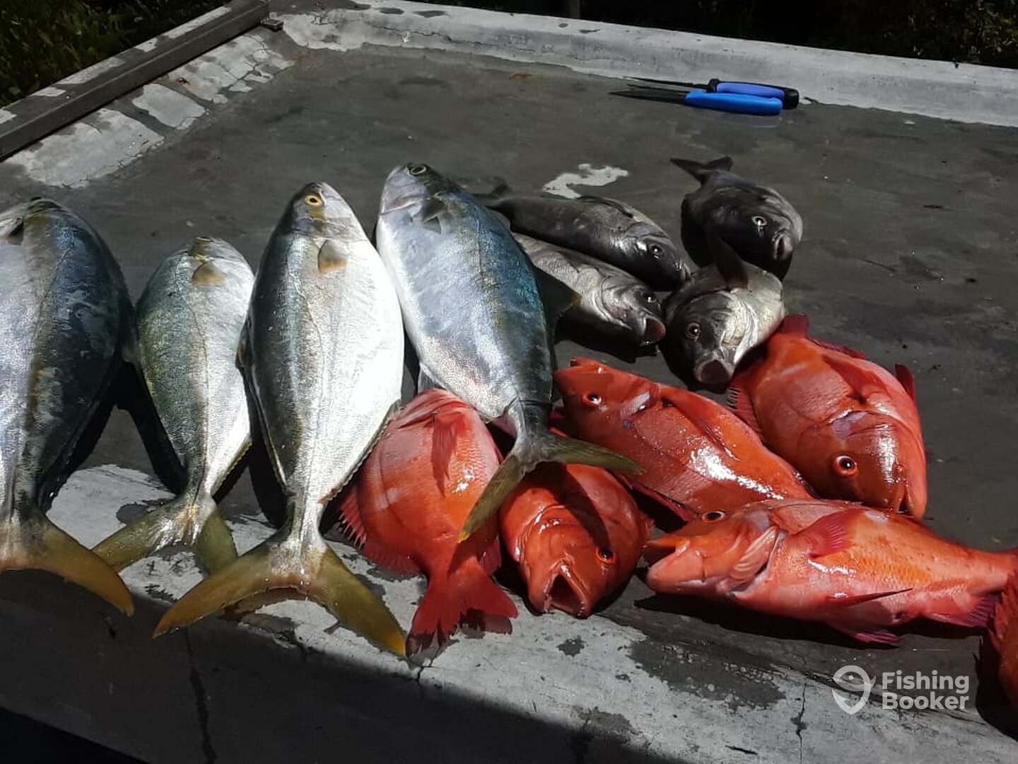 Cape Town Report Photo 0