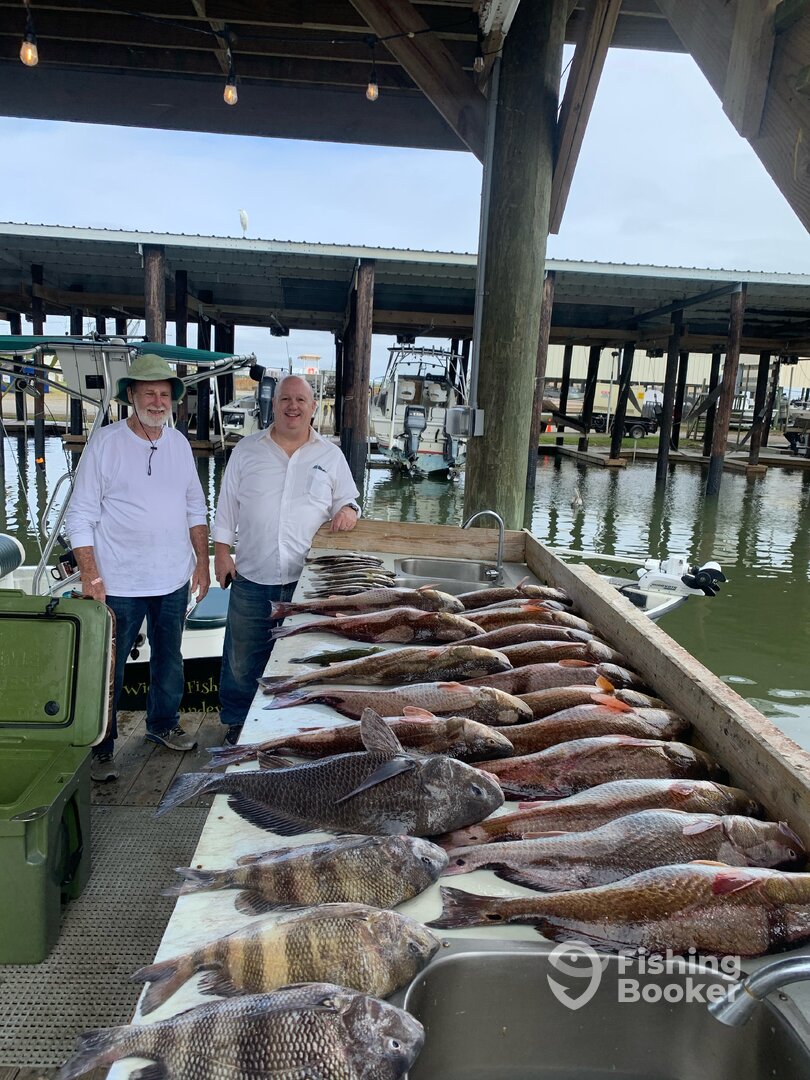 Mandeville Report Photo 0