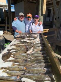 Mandeville Report Photo 2