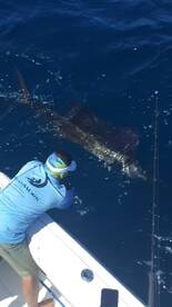 Playa Flamingo Report Photo 2