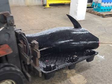 Boston Report Photo 2