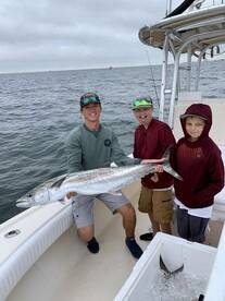 Sarasota Report Photo 1