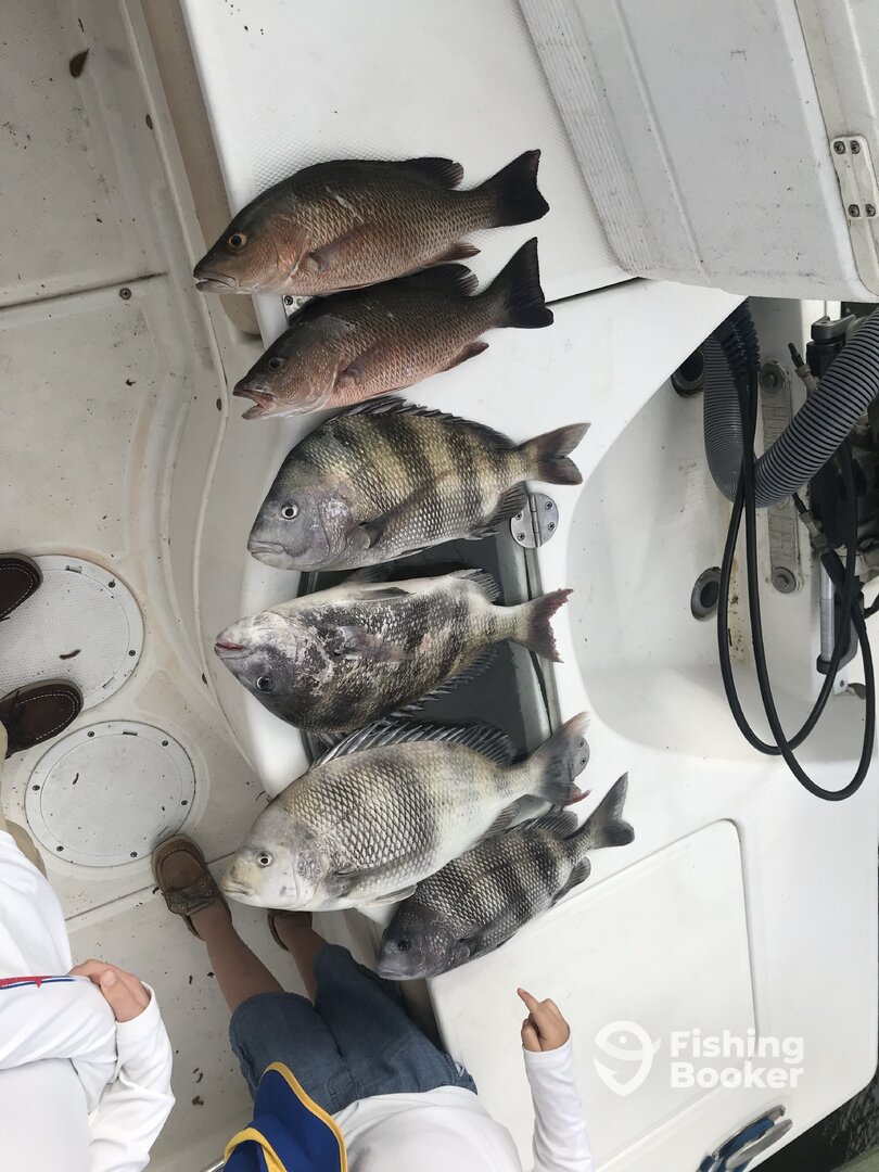 Fort Morgan Report Photo 0