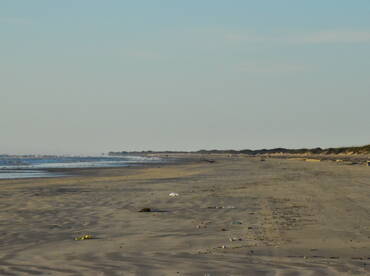 Beach fishing for bull redfish and pompa