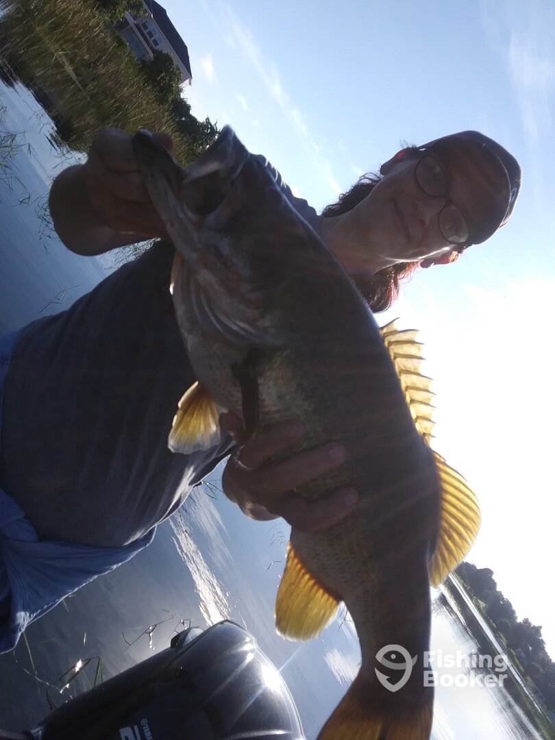 Ocoee Report Photo 0