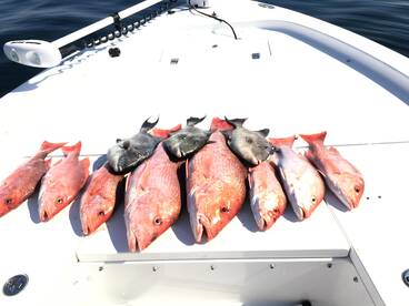 Mother's Day Snapper Trip