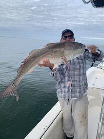 Redfish/black drum/sheepshead