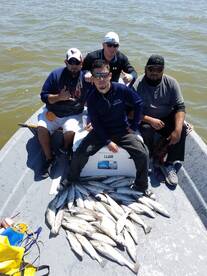 Speckled Trout Everywhere