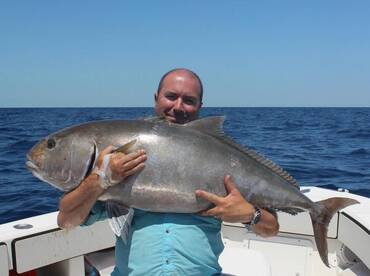 Sails, Snappers and groupers