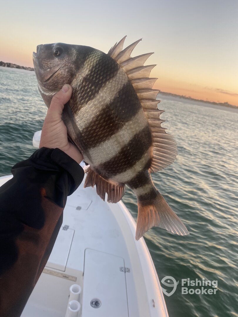 Panama City Beach Report Photo 0