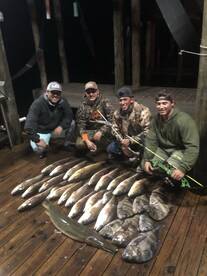 Bowfishing may be coming soon to got to 