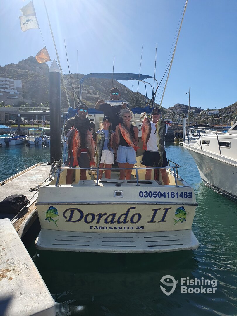 Cabo San Lucas Report Photo 0