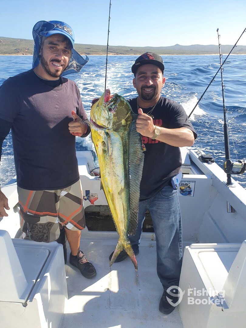 Cabo San Lucas Report Photo 0