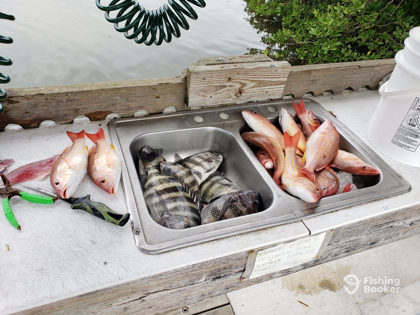 Placida Report Photo 0