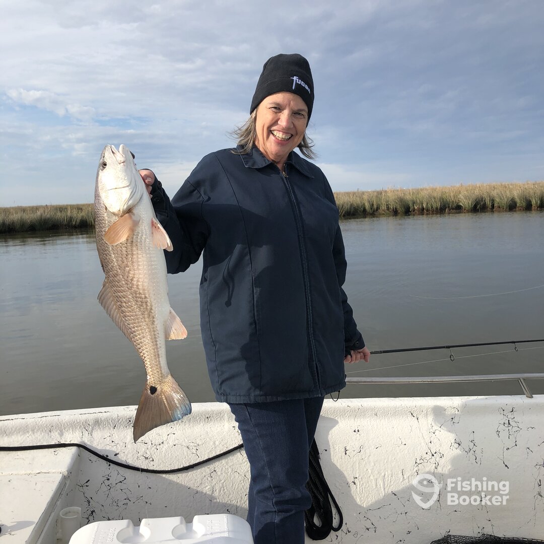 St. Bernard Report Photo 0