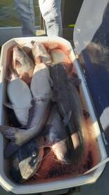 Cross Report Photo 2