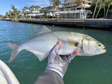 Nokomis Report Photo 2