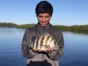 Sarasota Report Photo 1