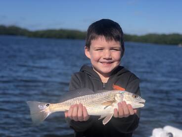 Sarasota Report Photo 1