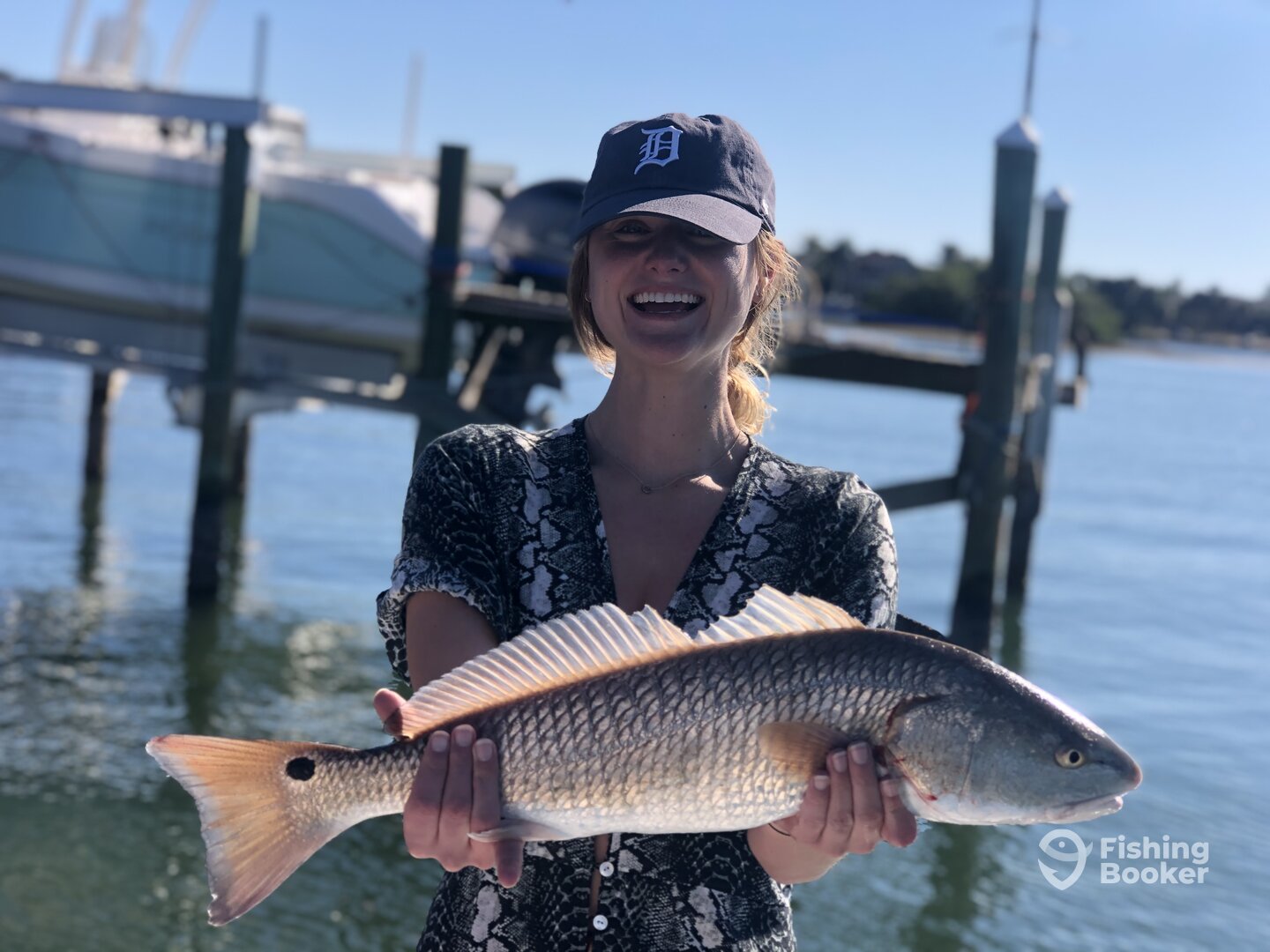 Sarasota Report Photo 0