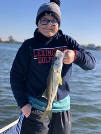 Sarasota Report Photo 2