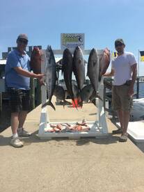 8 hour bottom fishing