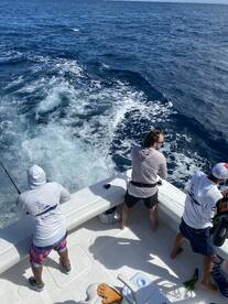 Herradura Report Photo 1