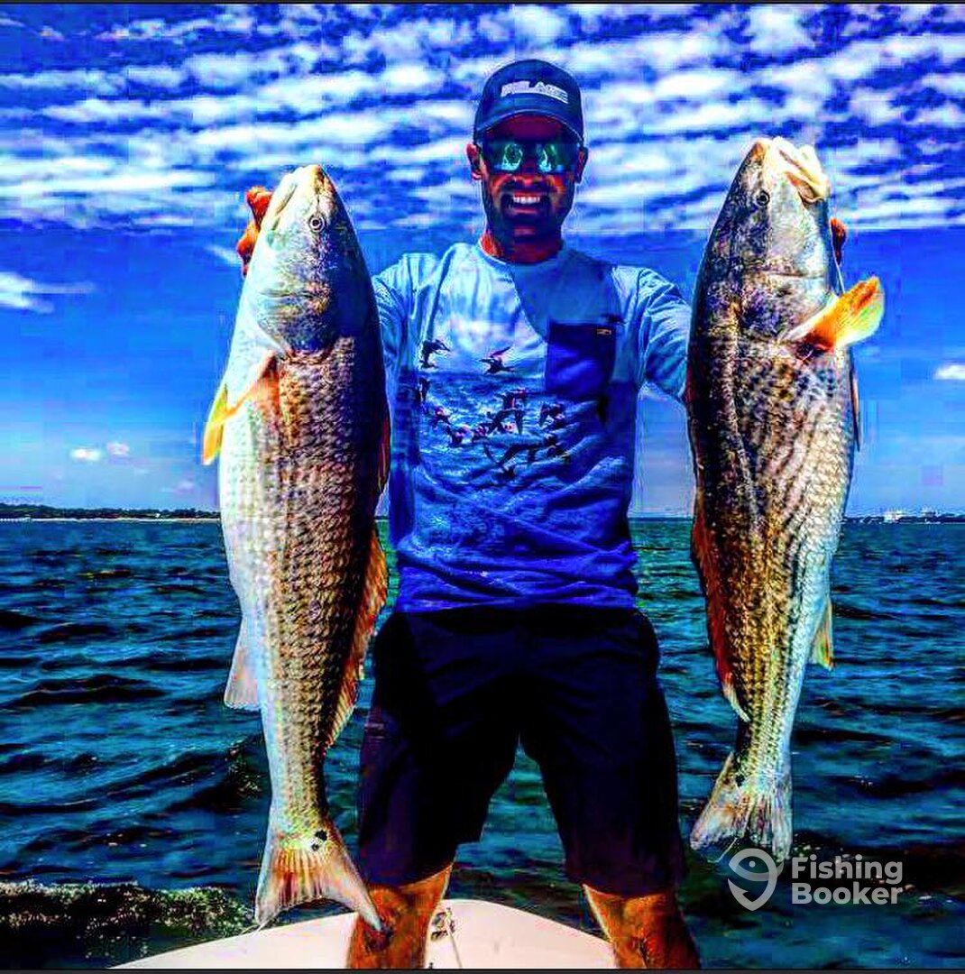 Charleston Report Photo 0