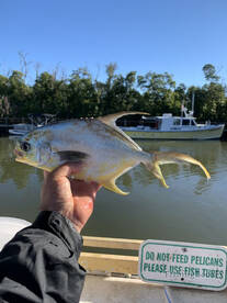 Marco Island Report Photo 1