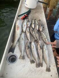 Marco Island Report Photo 1