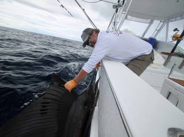 Quepos Report Photo 2