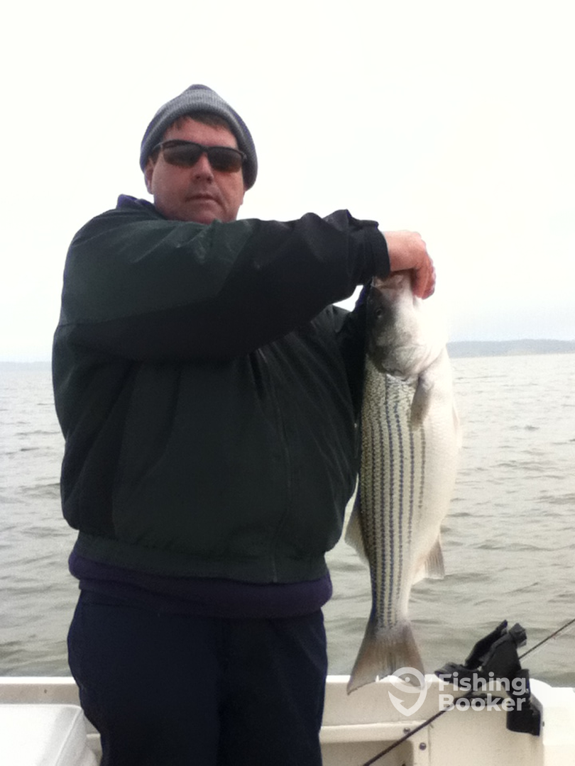 Gordonville Report Photo 0