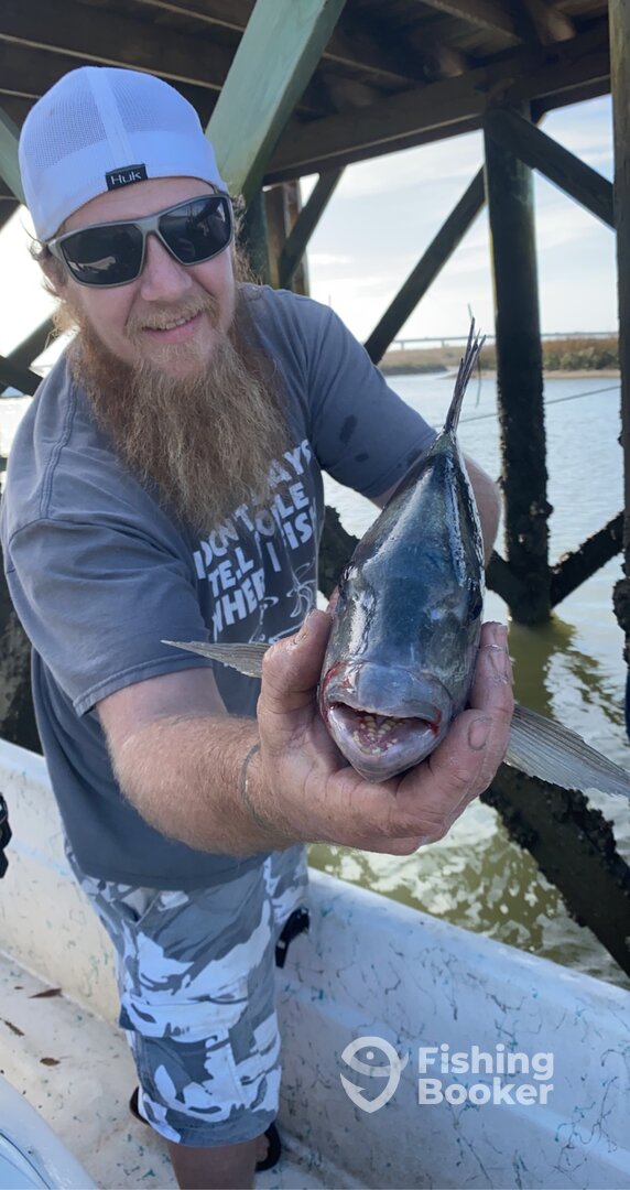 Mount Pleasant Report Photo 0