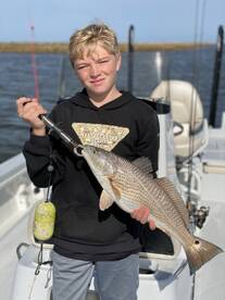 New Orleans Report Photo 1