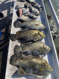 Clearwater Report Photo 1