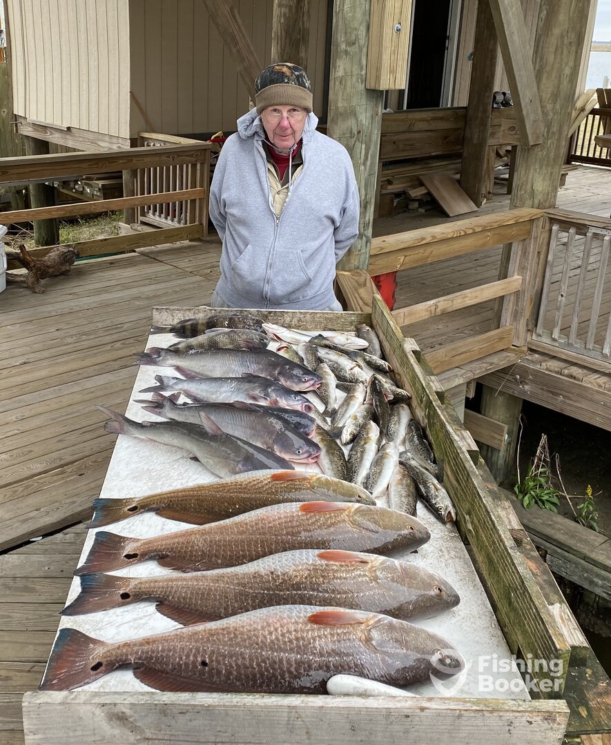 New Orleans Report Photo 0