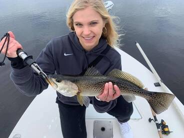 Port Charlotte Report Photo 2