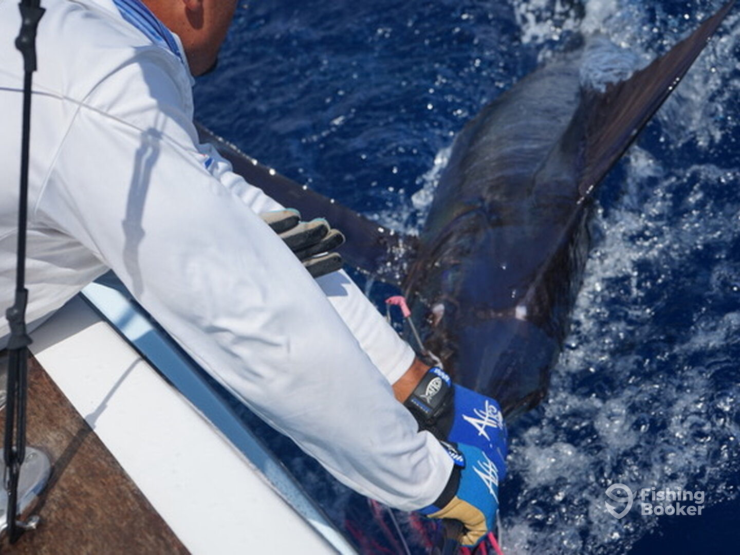 Herradura Report Photo 0