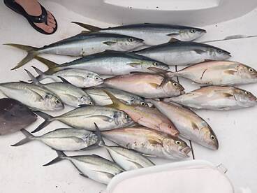 Fish variety in cancun 