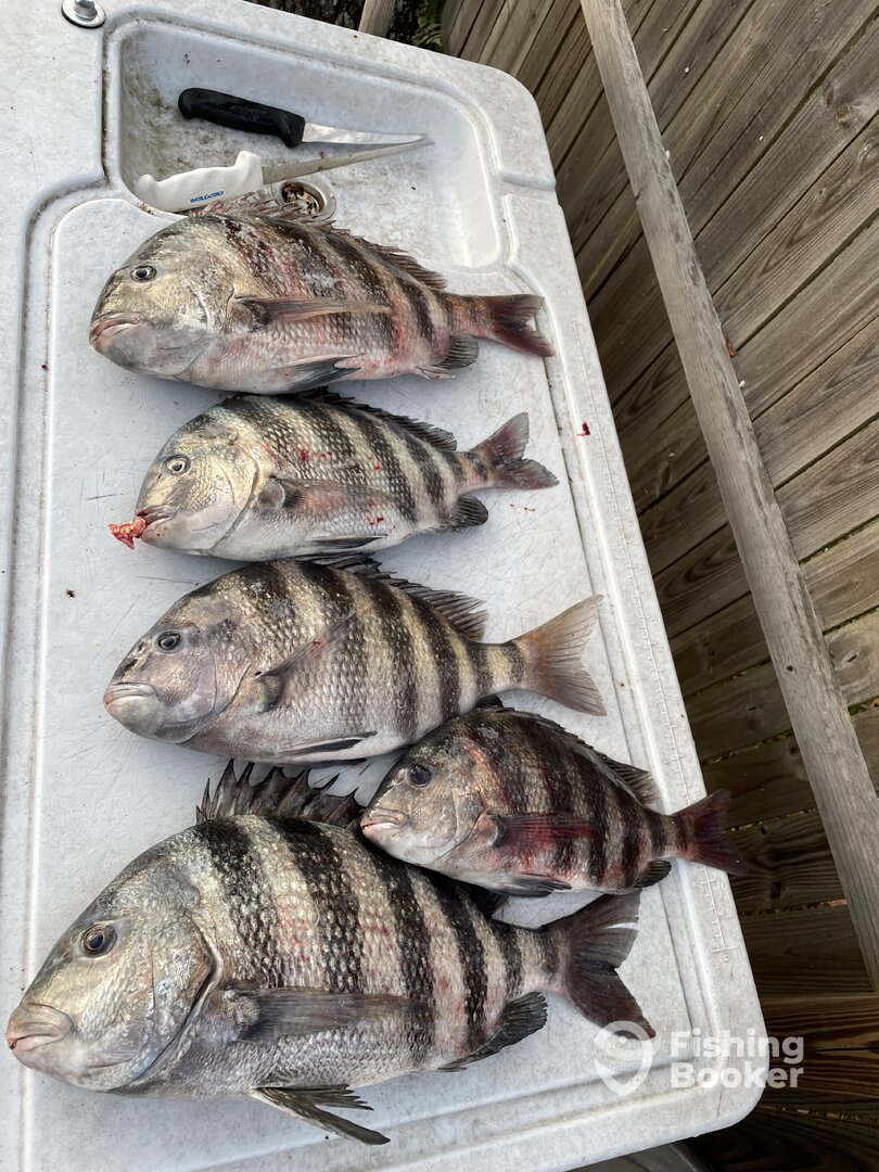 Jacksonville Report Photo 0