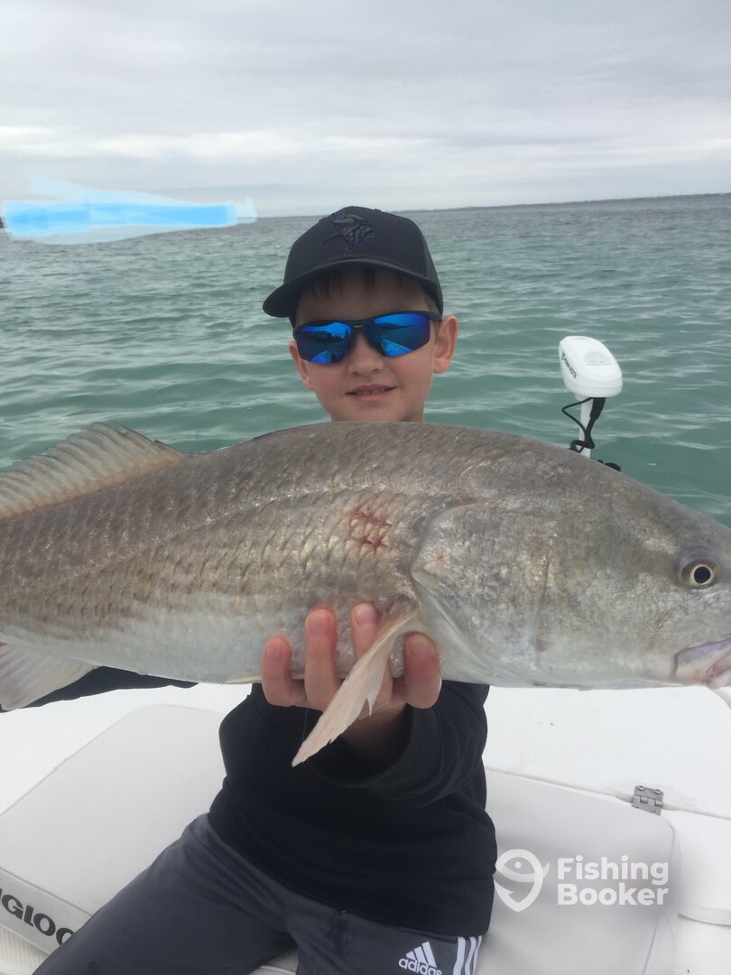 Sarasota Report Photo 0