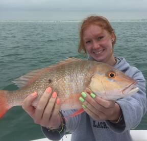 Sarasota Report Photo 1