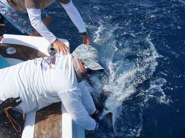 Herradura Report Photo 2