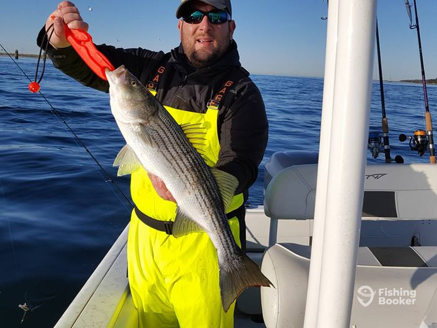 Boston Report Photo 0