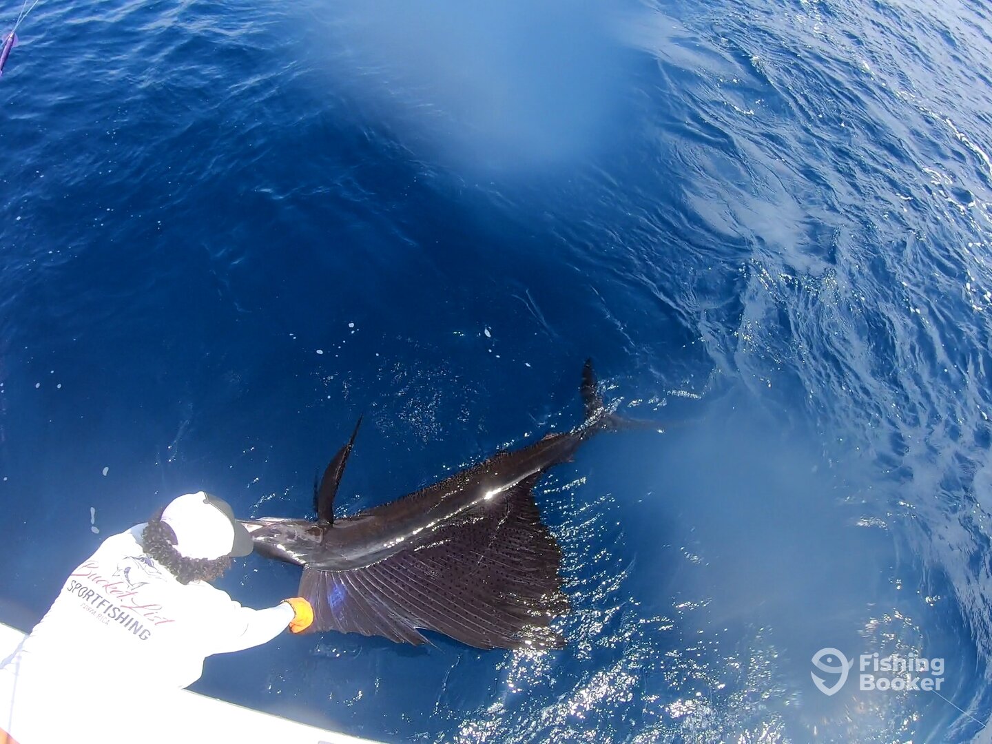 Quepos Report Photo 0