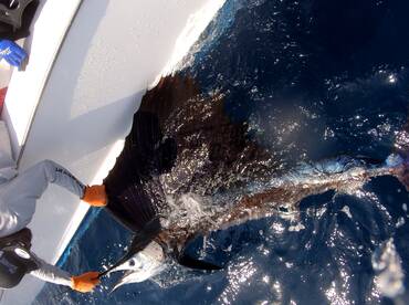 Quepos Report Photo 2