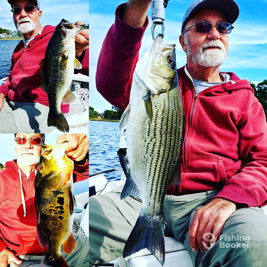 Delray Beach Report Photo 0